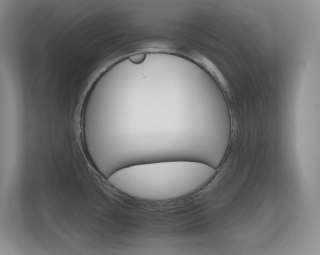 X0000110711435200906121047