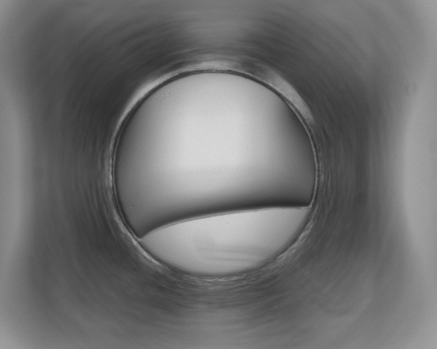 X0000110711436200906121047