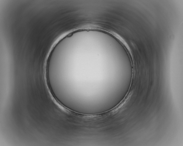 X0000110711437200906121047