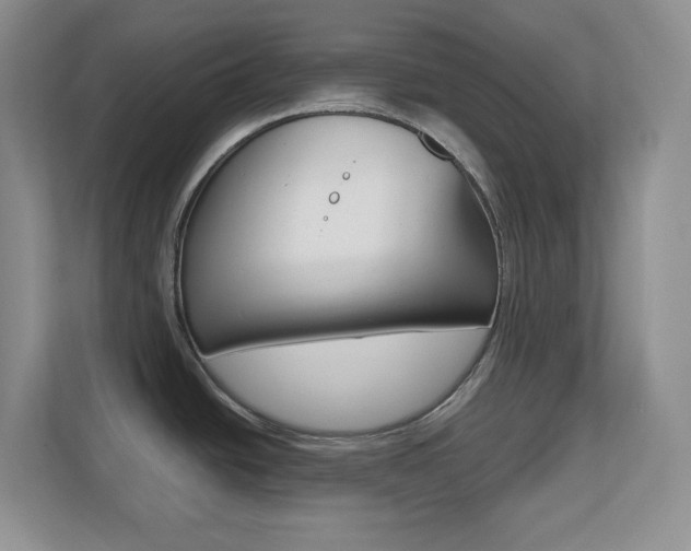 X0000110711438200906121047
