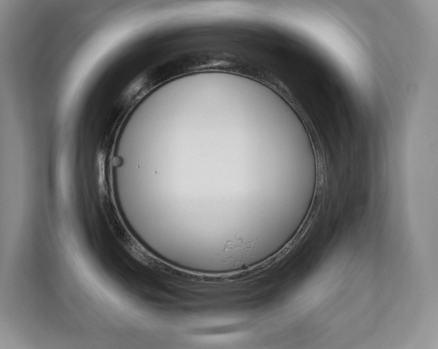 X0000110711439200906121047