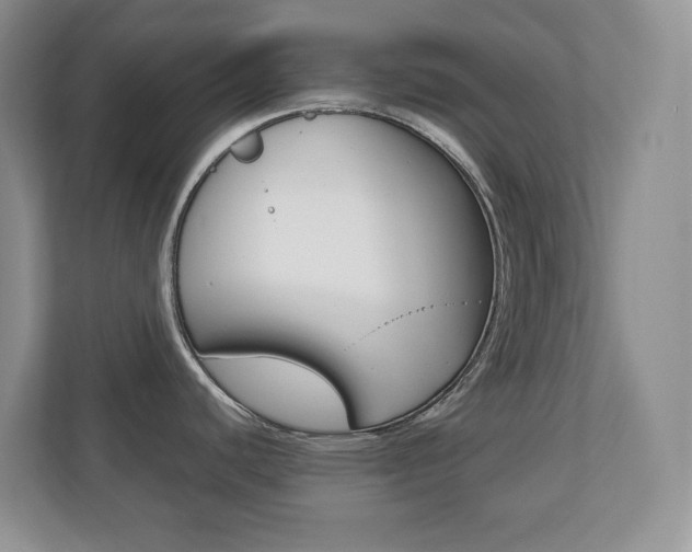 X0000110711440200906121047