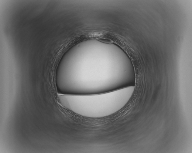 X0000110711441200906121046