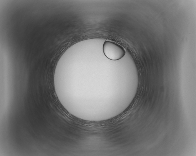 X0000110711444200906121046