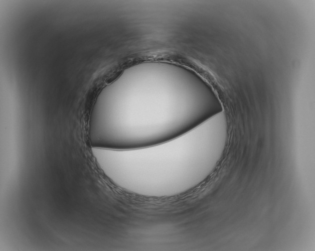 X0000110711447200906121046