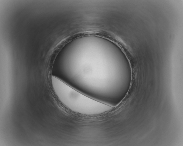 X0000110711448200906121046