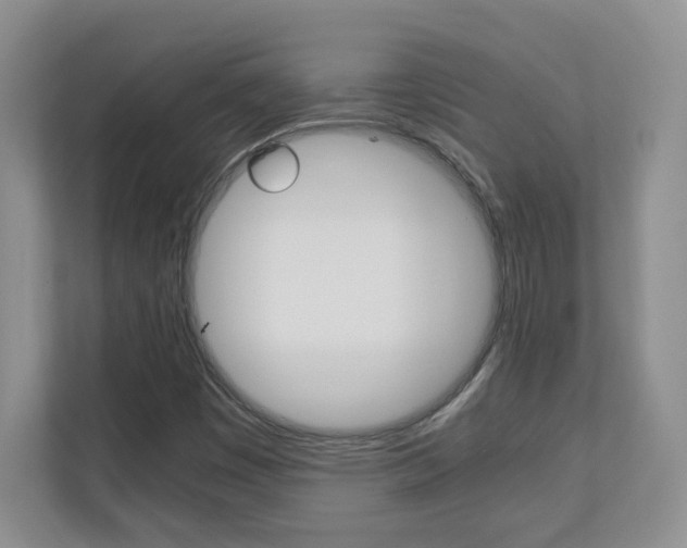 X0000110711449200906121046