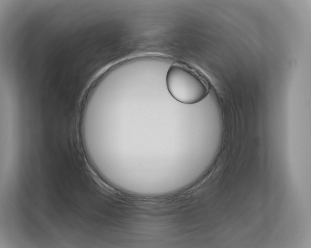 X0000110711452200906121046