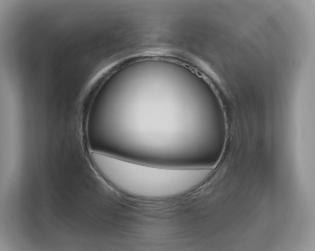 X0000110711456200906121046