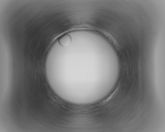 X0000110711457200906121046
