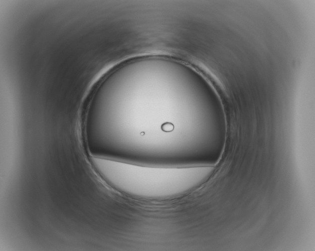 X0000110711460200906121046