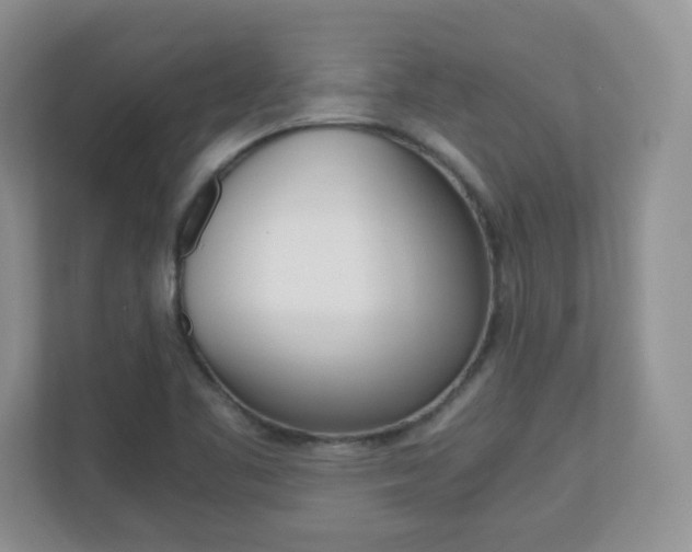 X0000110711461200906121046