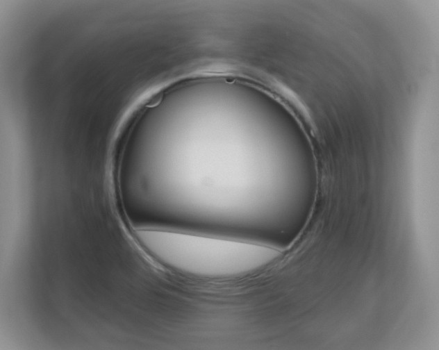X0000110711464200906121046