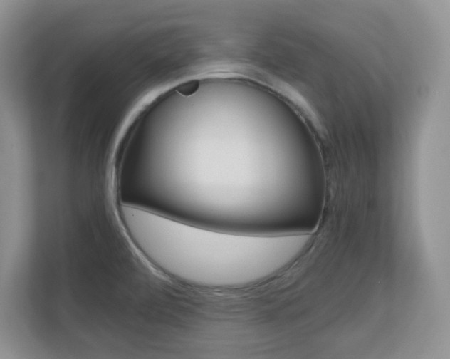 X0000110711472200906121046