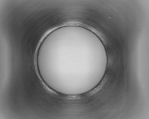 X0000110711478200906121046