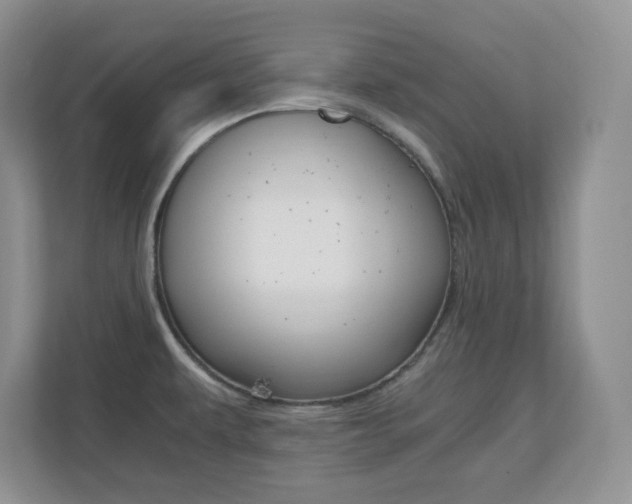 X0000110711479200906121046