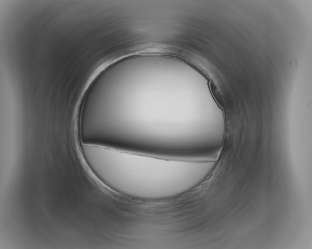X0000110711483200906121046