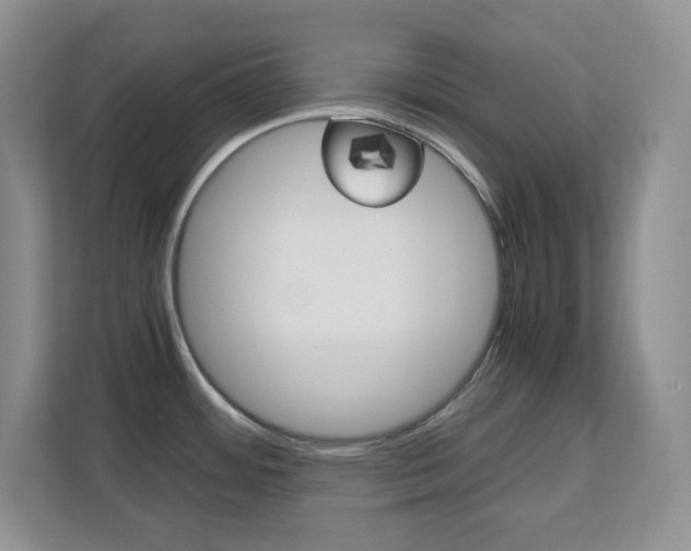 X0000110711484200906121046