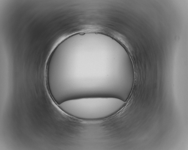 X0000110711487200906121046