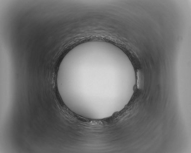 X0000110711491200906121045