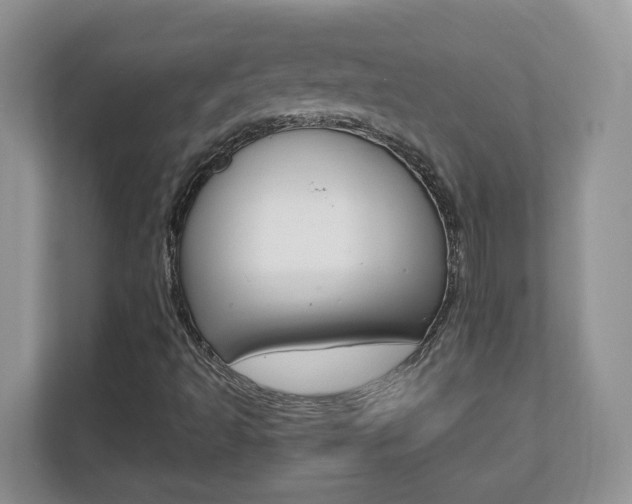 X0000110711493200906121045