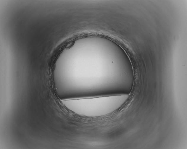 X0000110711494200906121045