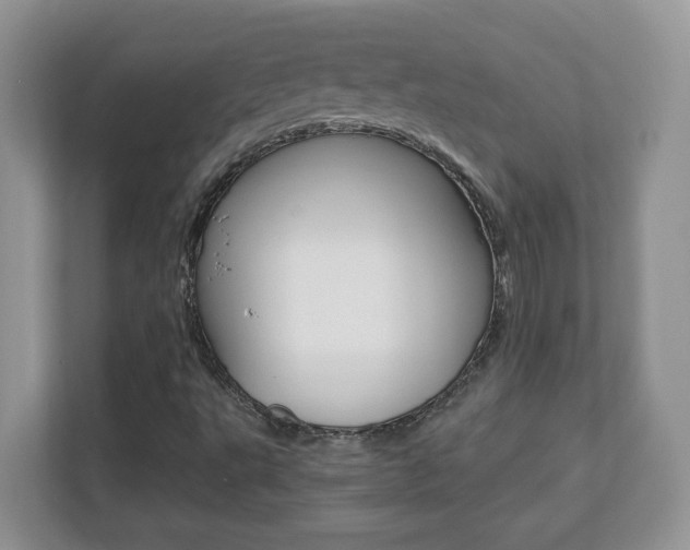 X0000110711495200906121045