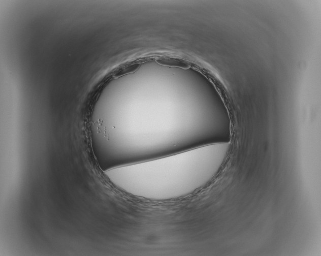 X0000110711496200906121045