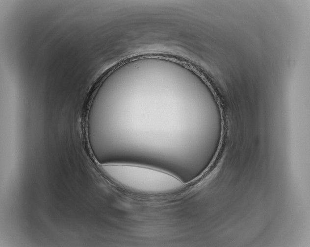 X0000110711497200906121045