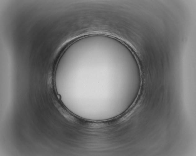 X0000110711499200906121045