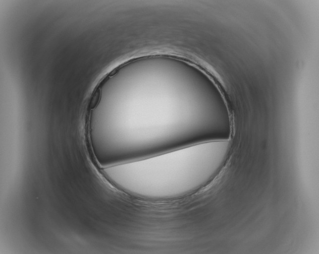 X0000110711500200906121045