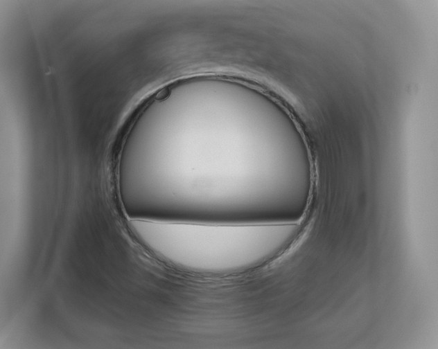 X0000110711501200906121045