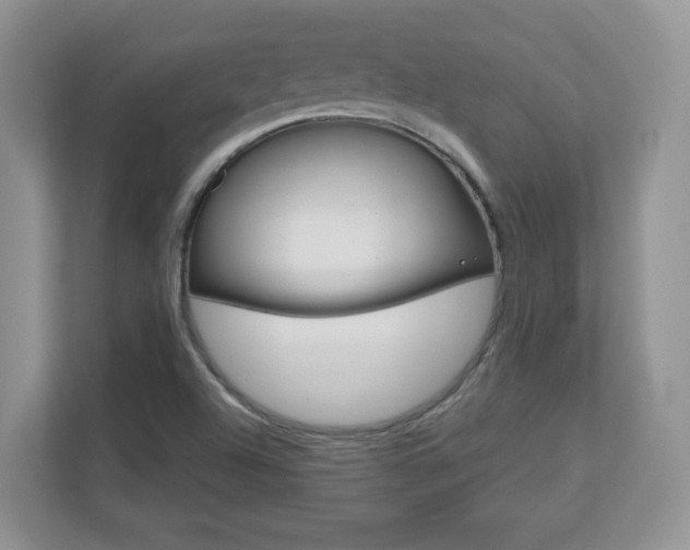 X0000110711504200906121045