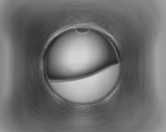 X0000110711506200906121045