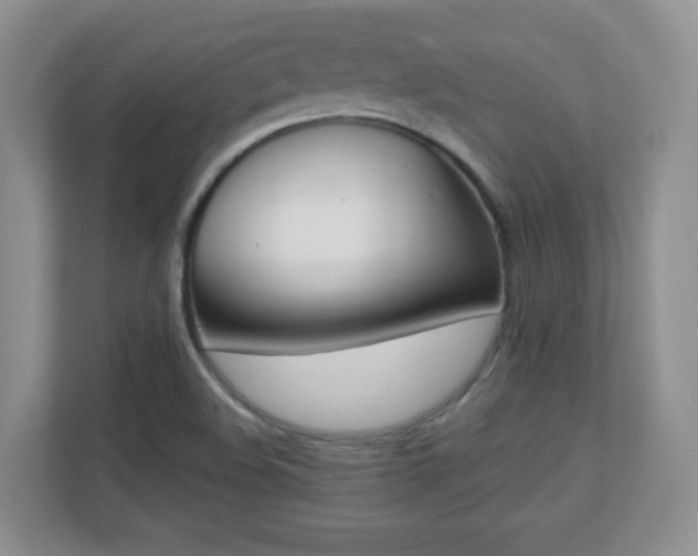 X0000110711508200906121045