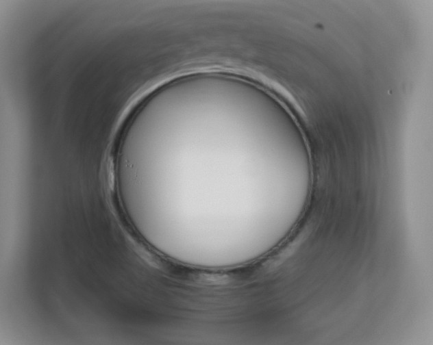 X0000110711509200906121045
