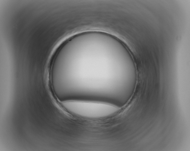 X0000110711511200906121045