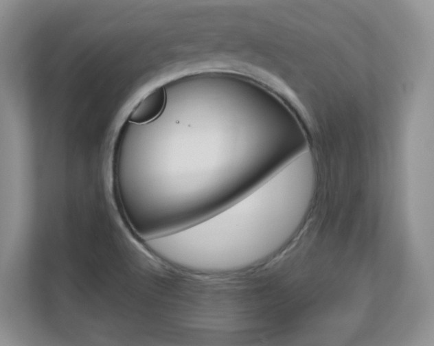 X0000110711512200906121045