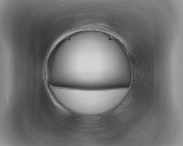 X0000110711515200906121045