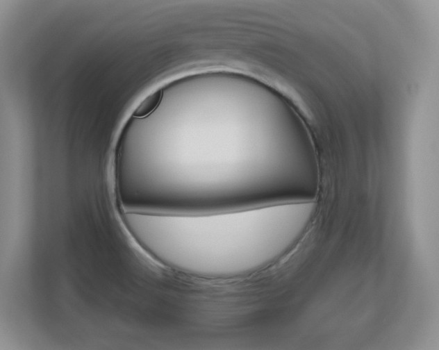 X0000110711516200906121045