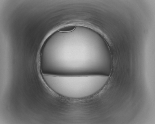 X0000110711522200906121045