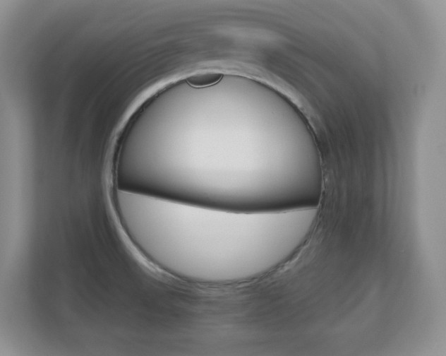 X0000110711523200906121045