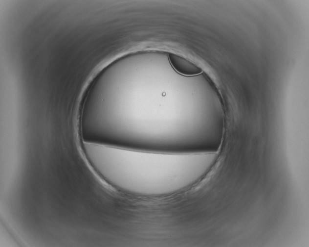 X0000110711525200906121045