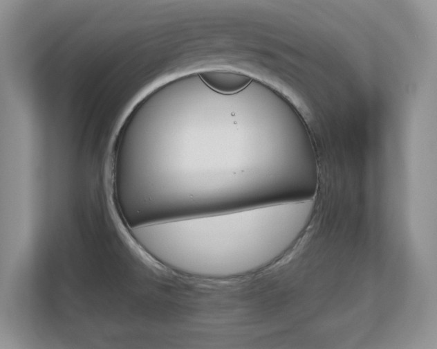X0000110711526200906121046