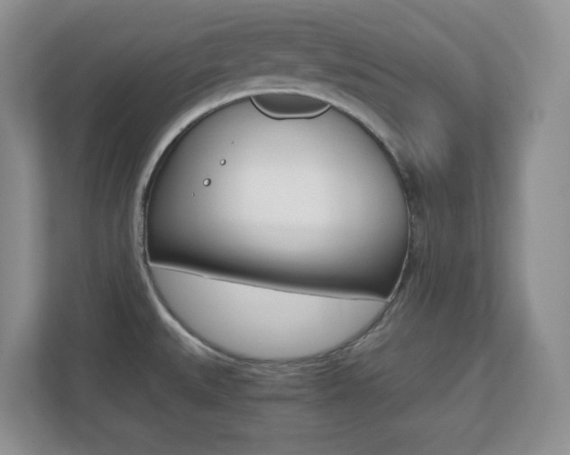 X0000110711527200906121046