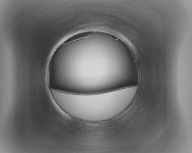 X0000110711528200906121046
