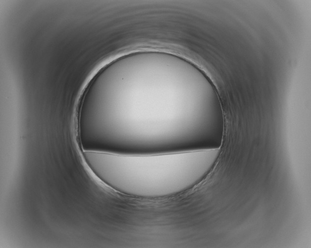 X0000110711531200906121046