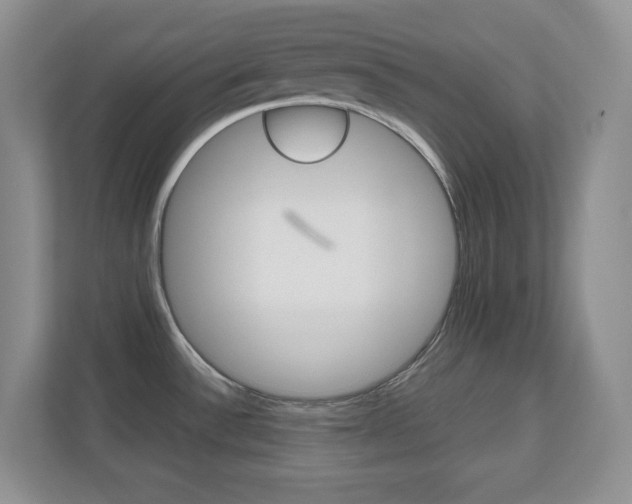 X0000110711532200906121046