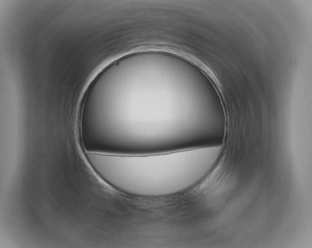 X0000110711533200906121046
