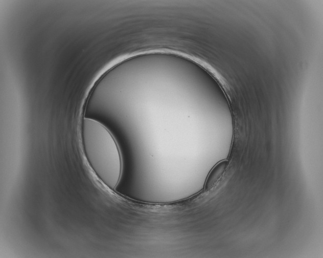 X0000110711534200906121046